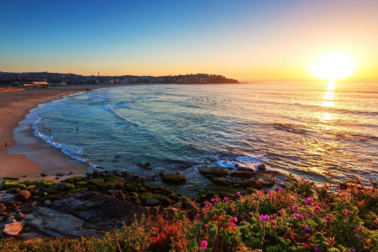 Newlife Serviced Apartments Bondi Junction Sydney Buitenkant foto